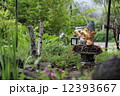 森の妖精 12393667