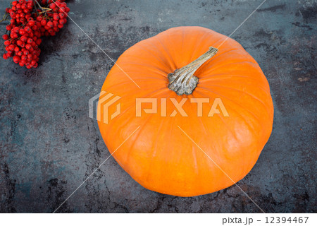 Upper view on the pumpkin Upper view on the pumpkin 12394467