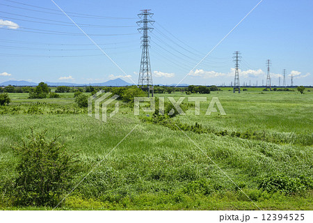 渡良瀬遊水地の電線路 渡良瀬遊水地の電線路 12394525
