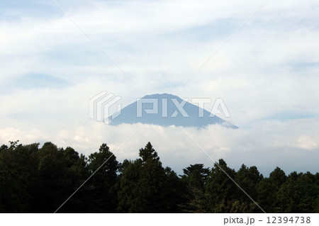 雲に浮かぶ富士山 12394738