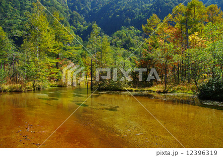 上高地 田代池 上高地 田代池 12396319