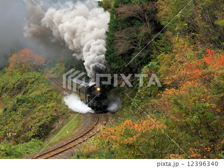 真岡鐵道「天矢場峠の紅葉とSLもおか号」 真岡鐵道「天矢場峠の紅葉とSLもおか号」 12396340