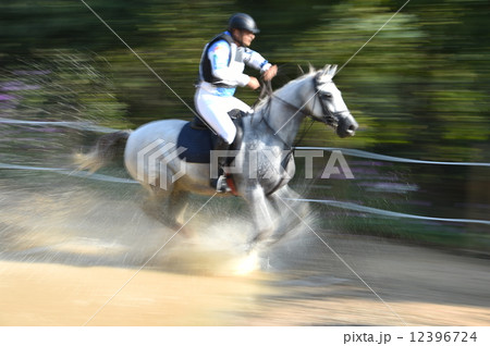 馬術の競技 馬術の競技 12396724