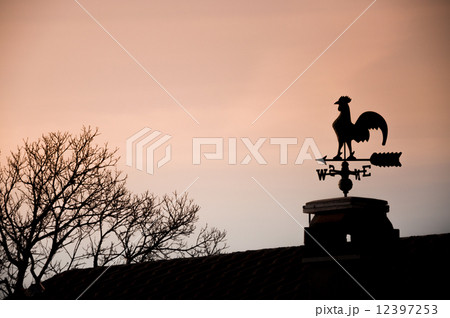 weathercock weathercock 12397253