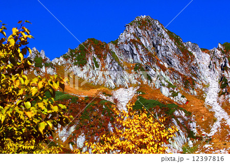 木曽駒ヶ岳 千畳敷カールの紅葉の写真素材