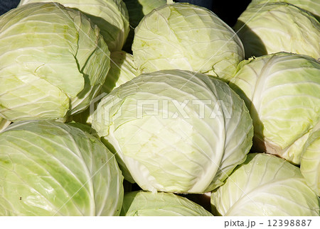 cabbage cabbage 12398887
