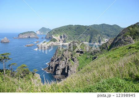 南伊豆の海岸 12398945