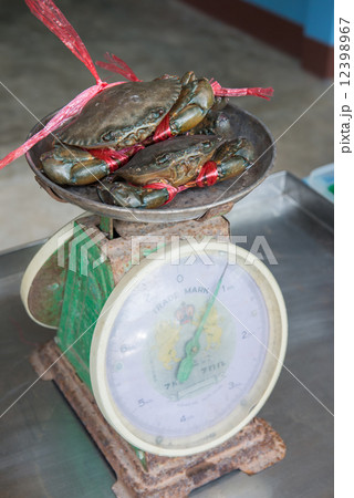 Alive crabs on balance at the market 12398967