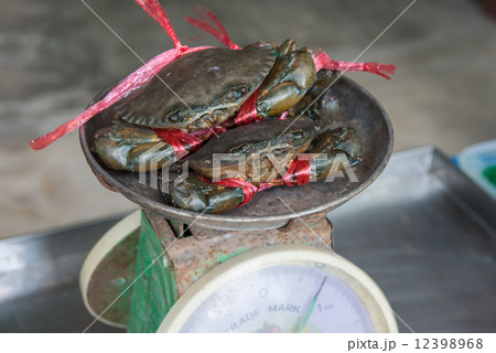 Alive crabs on balance at the market Alive crabs on balance at the market 12398968