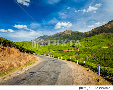 Green tea plantations in Munnar, Kerala, India Green tea plantations in Munnar, Kerala, India 12399802