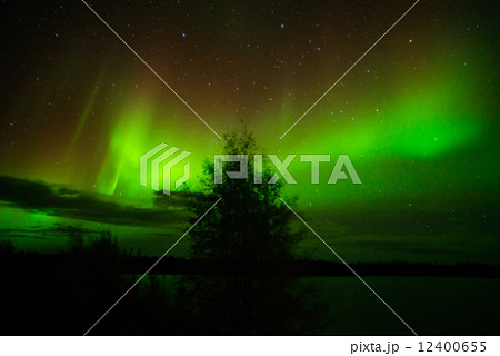 aurora aurora 12400655