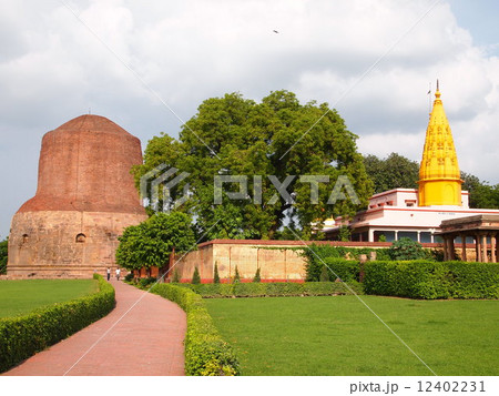 ダメーク・ストゥーパ ダメーク・ストゥーパ 12402231