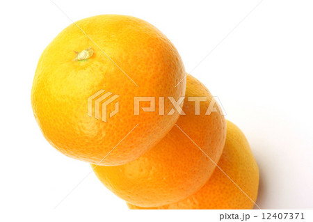 ミカン ミカン 12407371