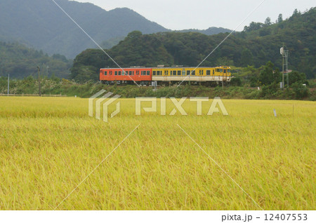 実りの秋を走る列車･山陰本線 12407553