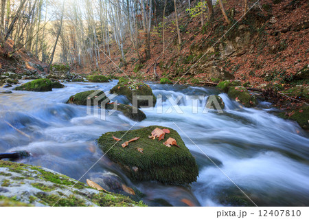 Full-flowing stream 12407810