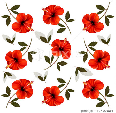 Pattern of beautiful red flowers. Vector. Pattern of beautiful red flowers. Vector. 12407884