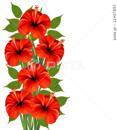 Background with a bunch of red flowers. Vector. 12407897