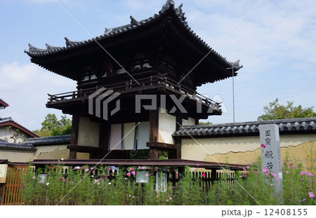 般若寺の桜門 12408155