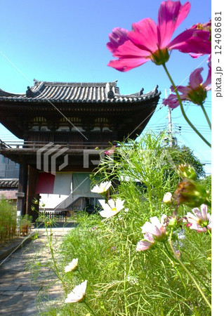 般若寺 12408681