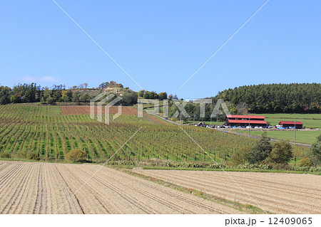 宝水ワイナリー　岩見沢　北海道　ワイン　農園 12409065
