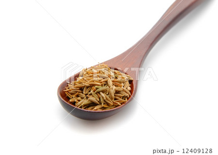 クミンシード クミンシード 12409128