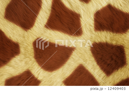 Fur Animal Textures, Girafe 12409403