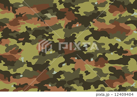 Camouflage Fabric Textures, Texture 10 12409404