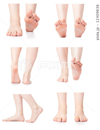 Foot Foot 12409636