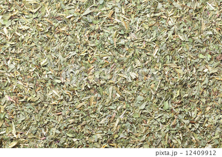 レッドクローバー 12409912