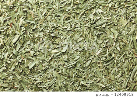 タラゴン 12409918