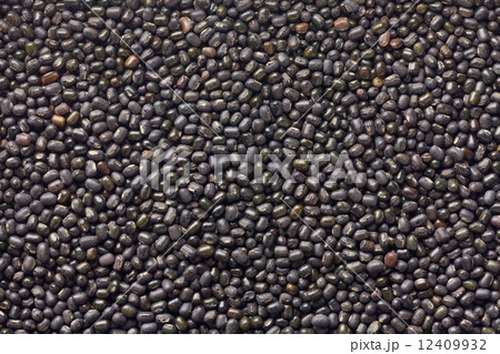 ウラド豆（ケツルアズキ） 12409932