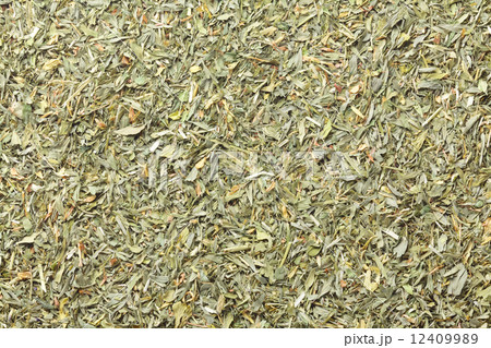 アルファルファ 12409989