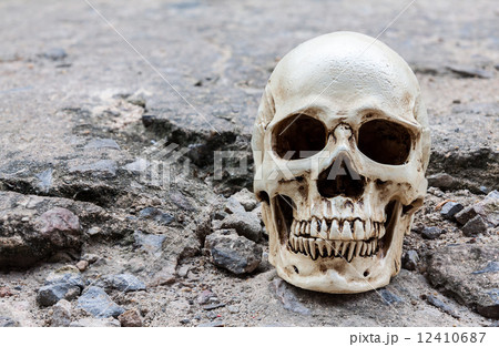 Human skull on crack cement street 12410687