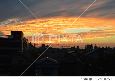 夕暮れ（江戸川右岸の土手／東京都葛飾区） 12410751