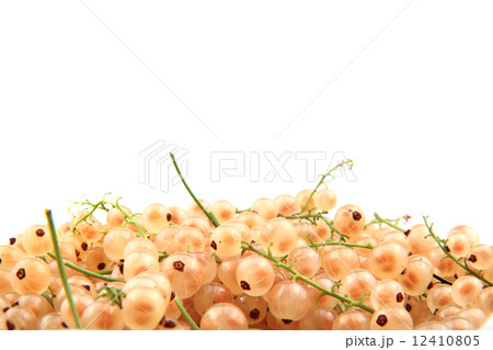 white currant isolated 12410805