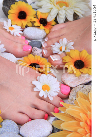 woman legs (pedicure) woman legs (pedicure) 12411554