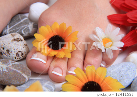 woman legs (pedicure) woman legs (pedicure) 12411555