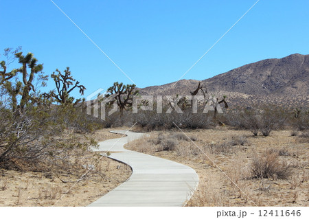 サドルバックビュート州立公園 12411646