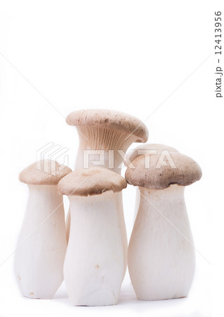 Eryngii mushroom five pieces isolated Eryngii mushroom five pieces isolated 12413956