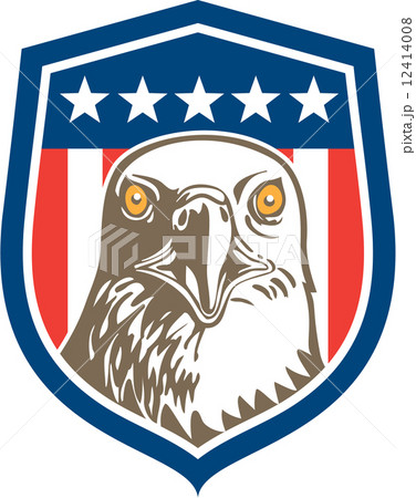 American Bald Eagle Head Stars Shield Retro 12414008