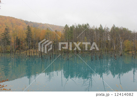 美瑛 青い池 北海道 絶景 自然 紅葉 美瑛 青い池 北海道 絶景 自然 紅葉 12414082