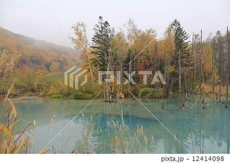 美瑛 青い池 北海道 絶景 自然 紅葉 美瑛 青い池 北海道 絶景 自然 紅葉 12414098