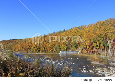 美瑛 青い池 北海道 絶景 自然 紅葉 12414099