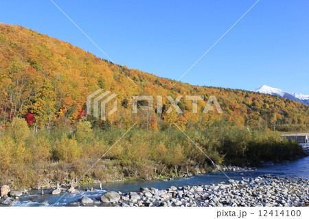 美瑛 青い池 北海道 絶景 自然 紅葉 美瑛 青い池 北海道 絶景 自然 紅葉 12414100