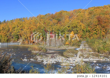 美瑛 青い池 北海道 絶景 自然 紅葉 美瑛 青い池 北海道 絶景 自然 紅葉 12414101