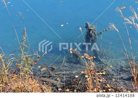 美瑛 青い池 北海道 絶景 自然 紅葉 美瑛 青い池 北海道 絶景 自然 紅葉 12414108