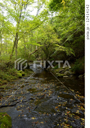 マゼノ渓谷 12414142