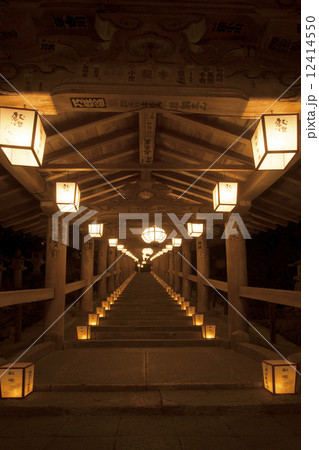 万灯籠 長谷寺観音万燈会 万灯籠 長谷寺観音万燈会 12414550
