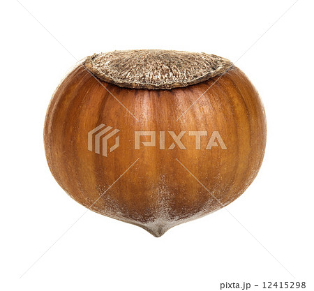 Hazelnut isolated on a white background Hazelnut isolated on a white background 12415298