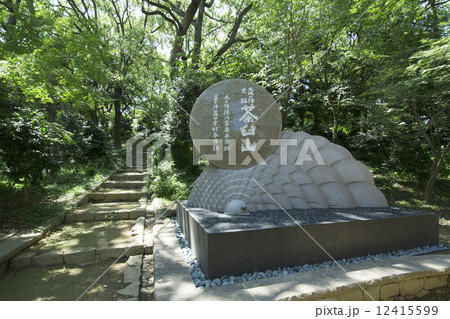 大阪天王寺の茶臼山本陣跡 12415599